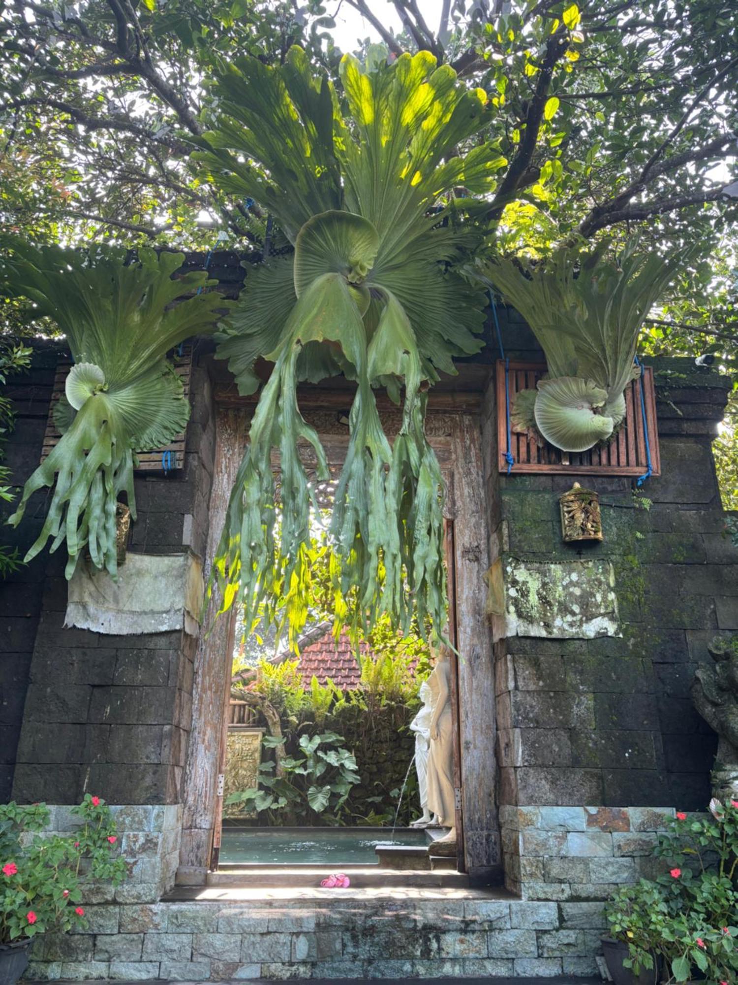 Bumbung Sari Villa Ubud Exterior foto
